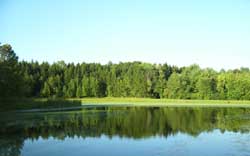Horseshoe Pond at Cuyahoga Valley National Park, with the forest beyond reflected in the smooth surface of the pond.