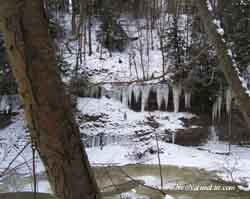 A wallpaper showing a Birch Tree next to the Aurora Branch of the Chagrin River, with Ice, Cliffs, and Hemlock Trees in the Background.